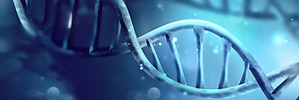 Informationen zum Thema Epigenetik