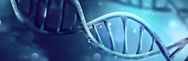Informationen zum Thema Epigenetik